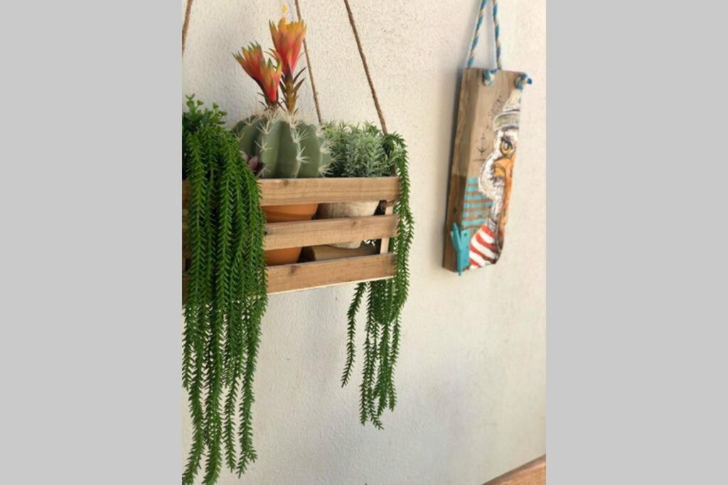 Marea Fuerteventura Home 1 コラレホ エクステリア 写真